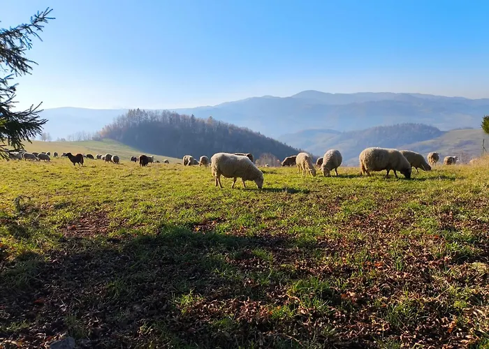 Dom Na Kraju